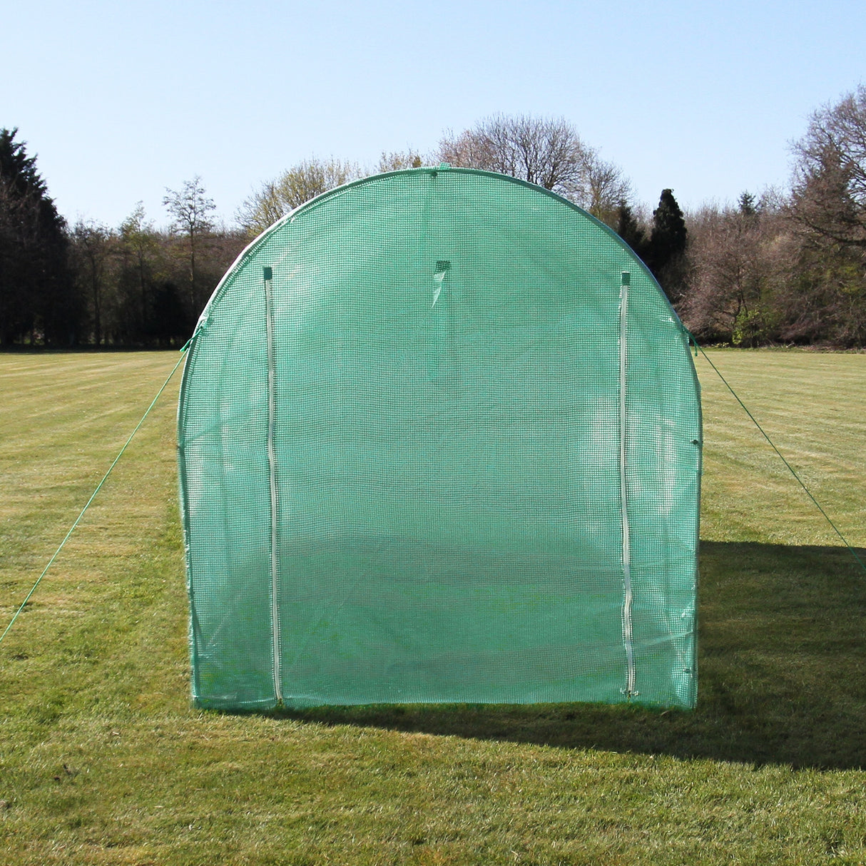 Polytunnel 19mm 5m x 2m mit Regale