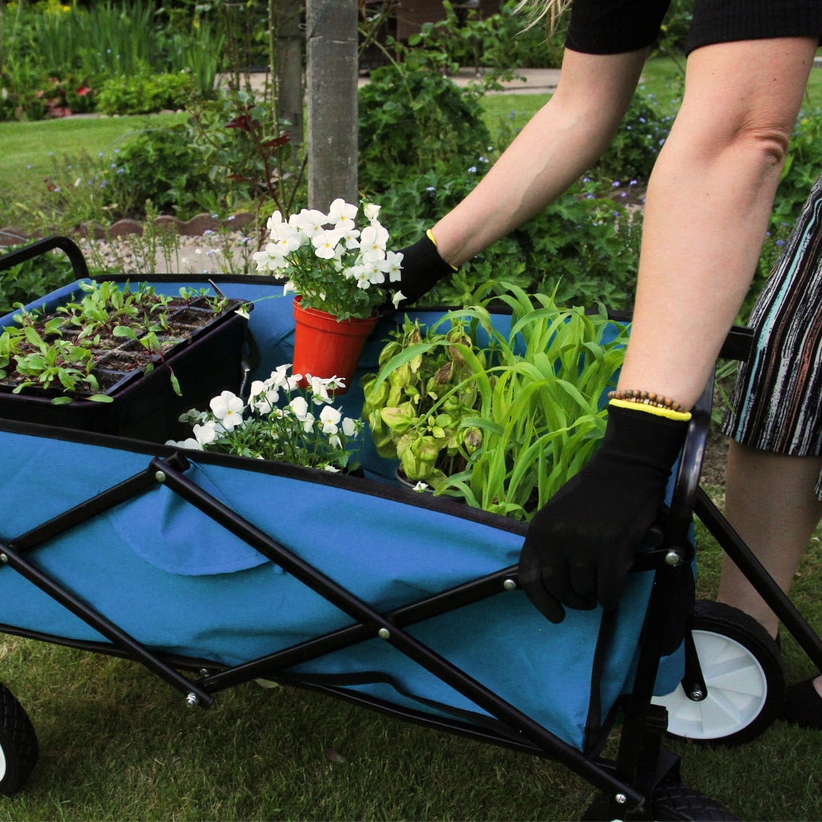 Faltbarer Gartenwagen – Blau