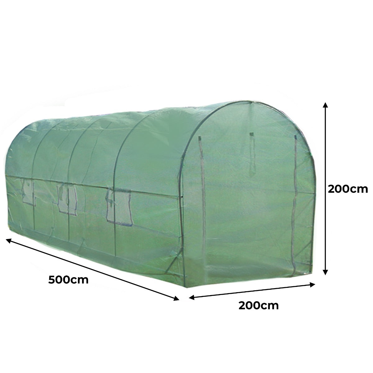 Polytunnel 19mm 5m x 2m mit Regale