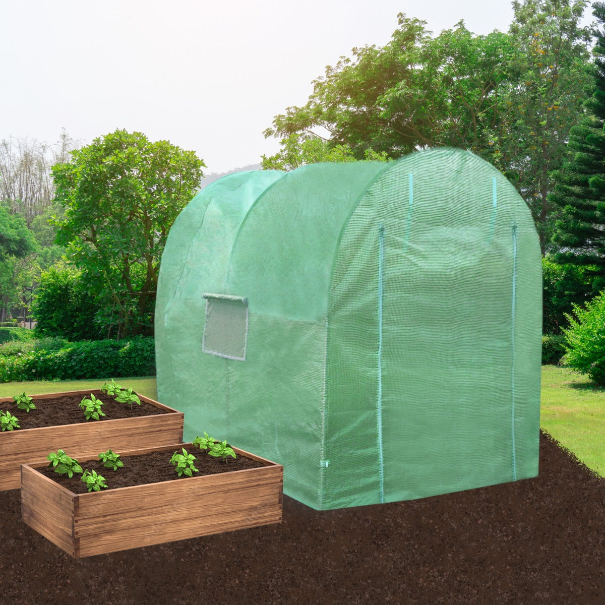 Polytunnel 19mm 4m x 2m mit Regale