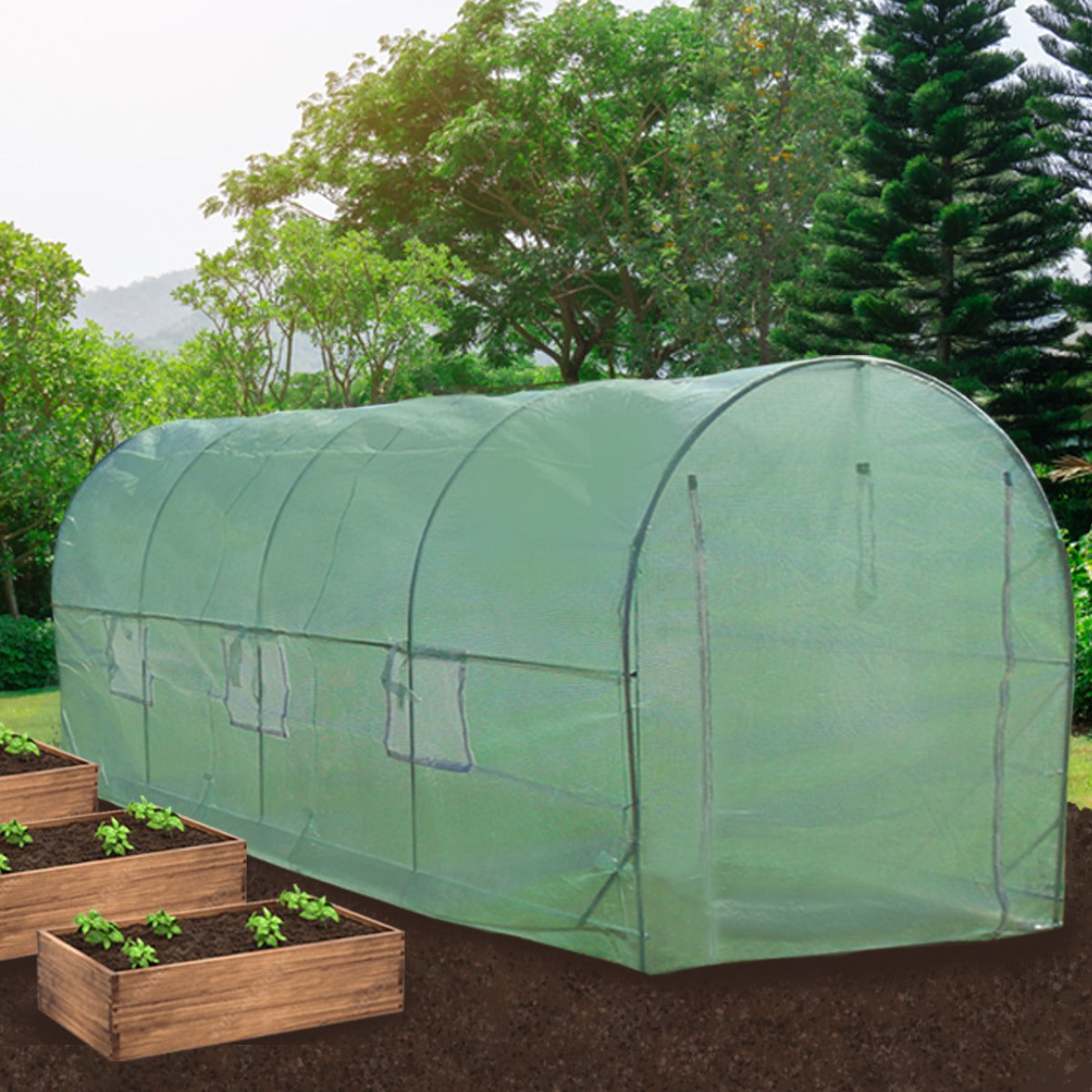 Polytunnel 25mm 6m x 3m mit Regale